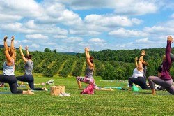 Class and a Glass Yoga
